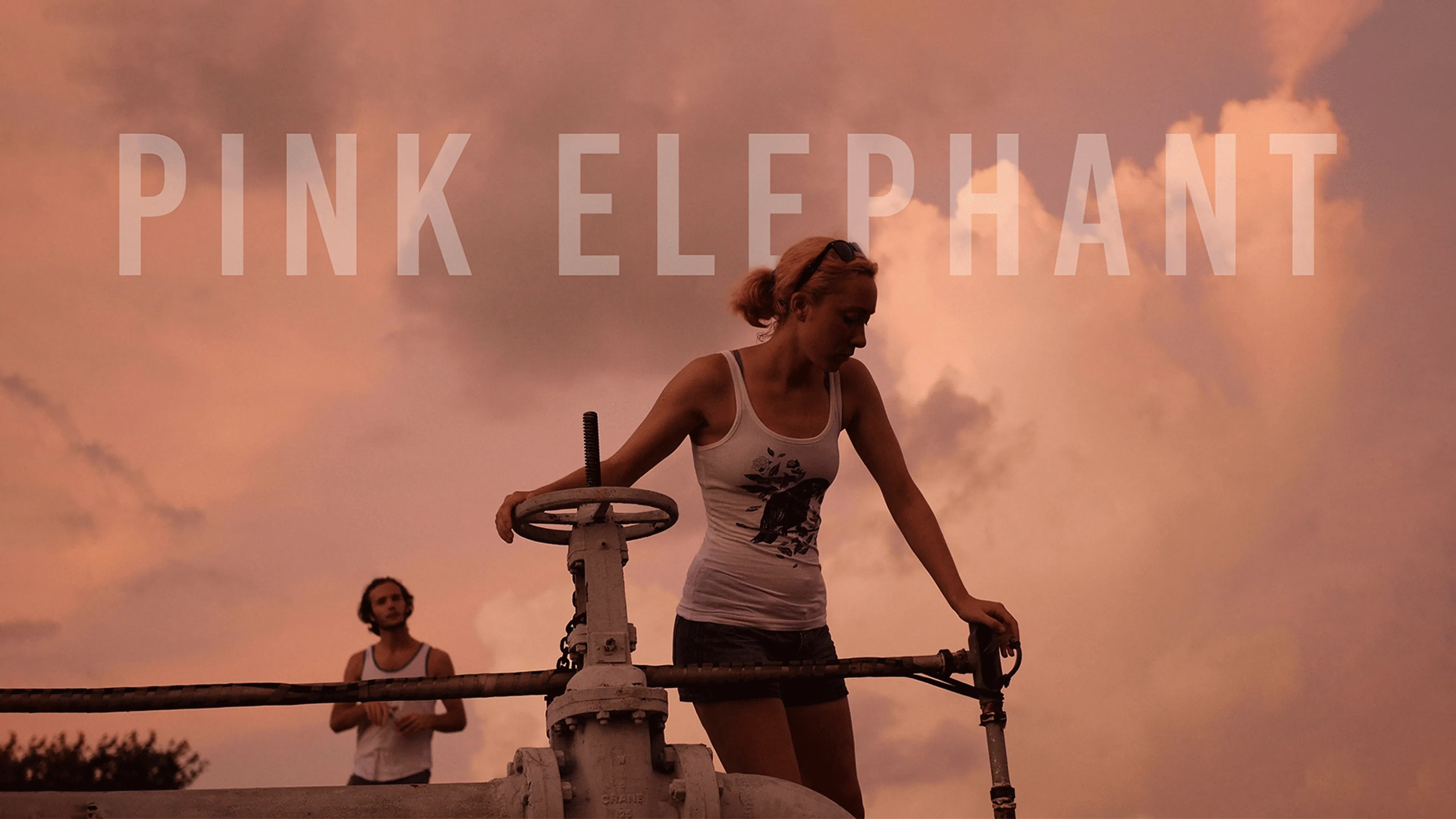 Pink Elephant poster